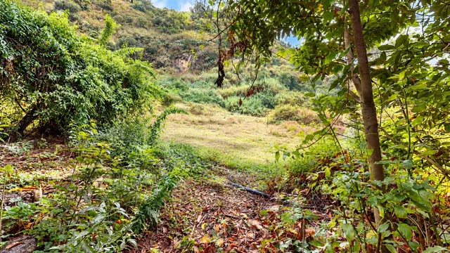 Finca con casa tradicional canaria y terreno de más de 12.000 m2 en Valsendero – Valleseco — 14