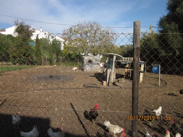 CASA CON PARCELA CERCA DE VEJER DE LA FRA - foto 4