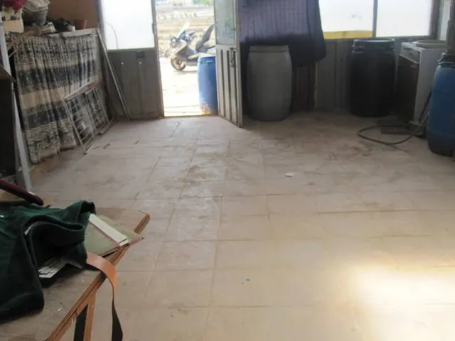 TERRENO CASA CUEVA — 4
