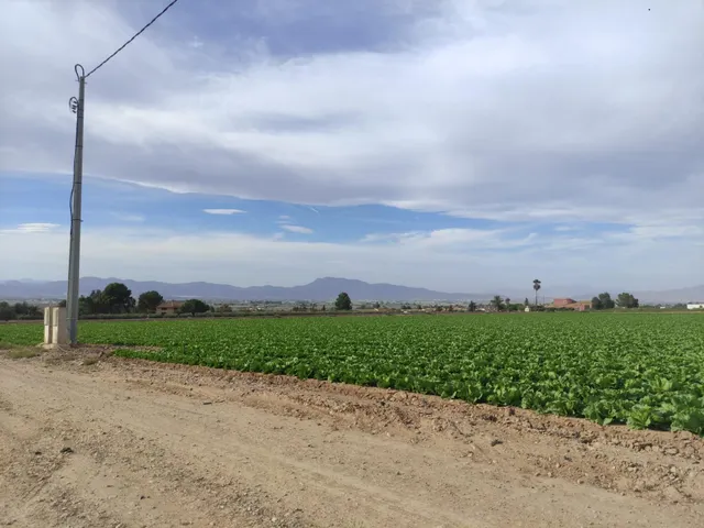 Parcela en Purias — 3