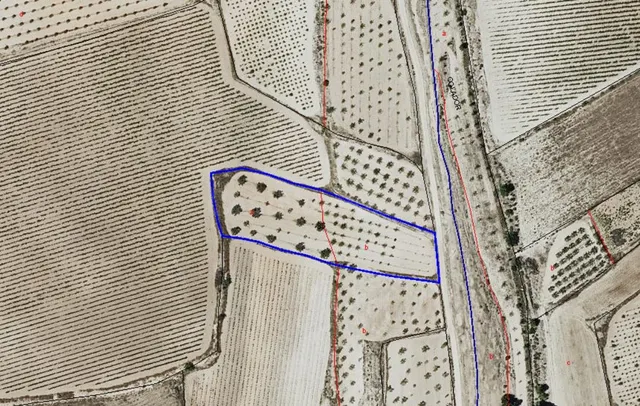 Parcela agrícola en venta - Pinoso, Comunidad Valenciana - foto 5