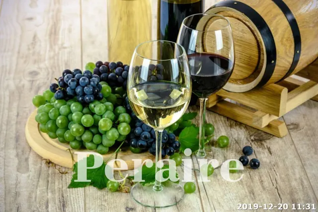 BODEGA CON VIÑEDOS, 25 HECTÁREAS — 16