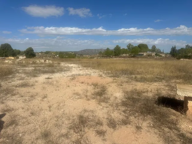Terreno Rural Agrario de 13.000 m2 en Beties – Monóvar — 2