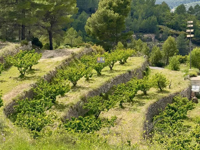 ESPECTACULAR FINCA RÚSTICA EN SELLA — 4