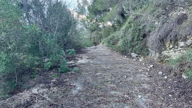 Terreno Rústico en venta - Comunidad valenciana — 8