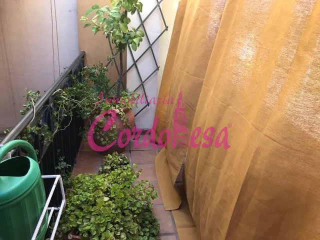 MAGNIFICA CASA CON PISCINA EN ALCOLEA — 24