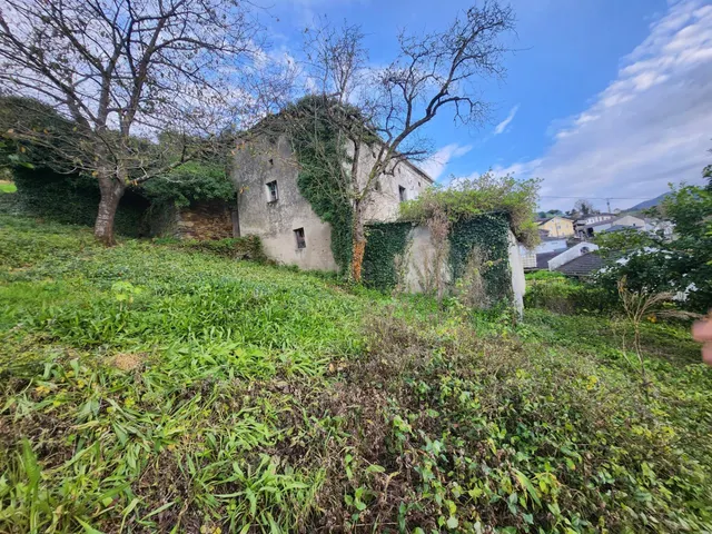 PRECIOSA CASA CON CAPILLA Y TERRENOS EN VILLAYON (ASTURIAS) - foto 5