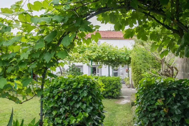 Vivienda multifamiliar con preciosa parcela en O Casal (Cull