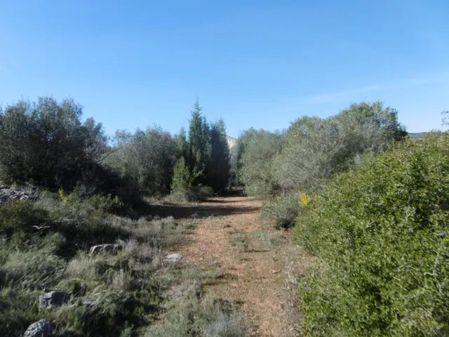 MASIA PARA REFORMAR  CON ALMACENES EN UNA FINCA DE 10 HECTÁREAS — 28