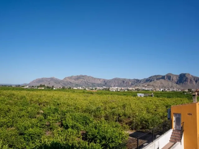 Villa 5 habitaciones 433m² en venta - Desamparados-Hurchillo-Torremendo — 9
