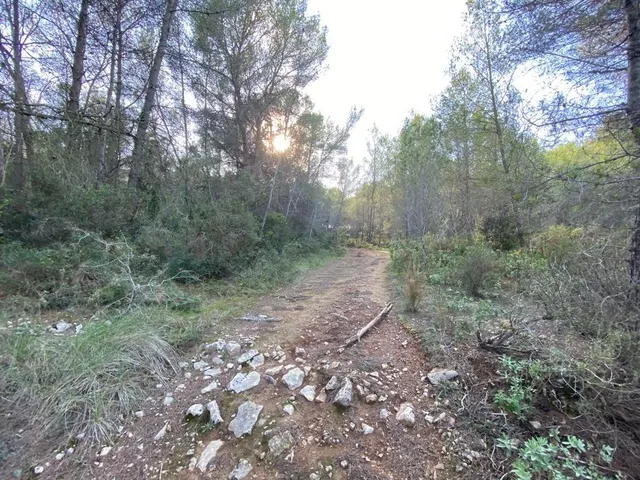 OPORTUNIDAD ENORME TERRENO EN VENTA POR 150.000€ — 27