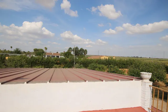 Excepcional Finca Rústica Recién Reformada con Piscina y 5.200 m2 de Parcela en El Pintado, Gibraleón — 15
