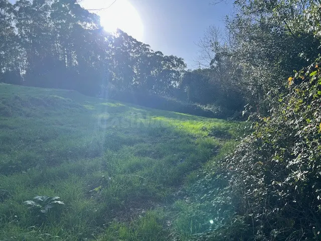 Finca rústica en venta - Revilla
