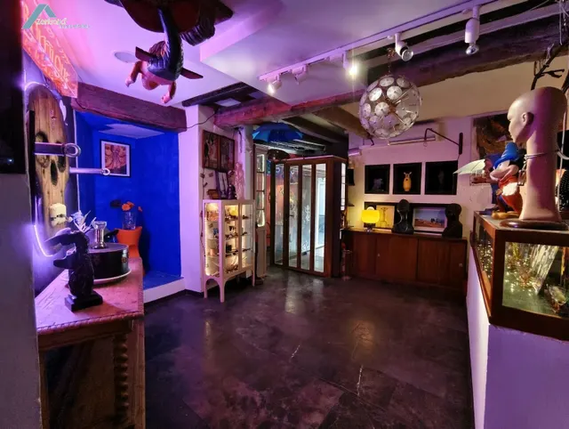 EXCLUSIVO LOCAL EN ZONA CALLE ALFONSO — 9