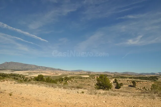 Parcela en venta - Jumilla