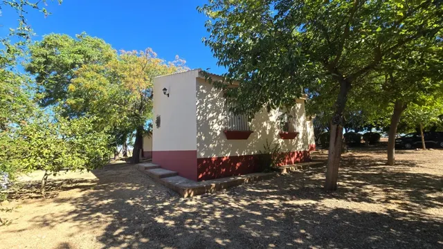 Magnífica casa de campo con piscina y vistas a Moguer, en finca de casi 15.000 m2 — 32