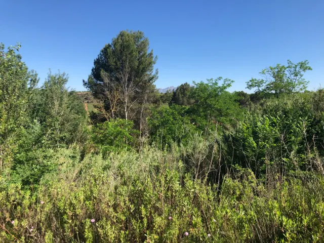 GRAN PARCELA EN VENTA EN GELIDA -10689 M2- — 9