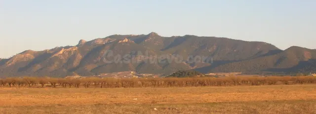 Venta PARCELA 48.000 mts Campo Ricote-ZONA LAS VENTANAS - foto 2