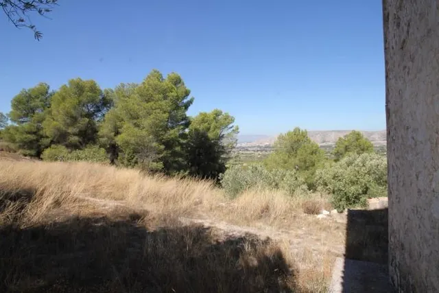 IMPRESIONANTE FINCA DE 30 HECTÁREAS CON TERRENO CULTIVABLE Y VISTAS PANORÁMICAS A VILLENA — 37