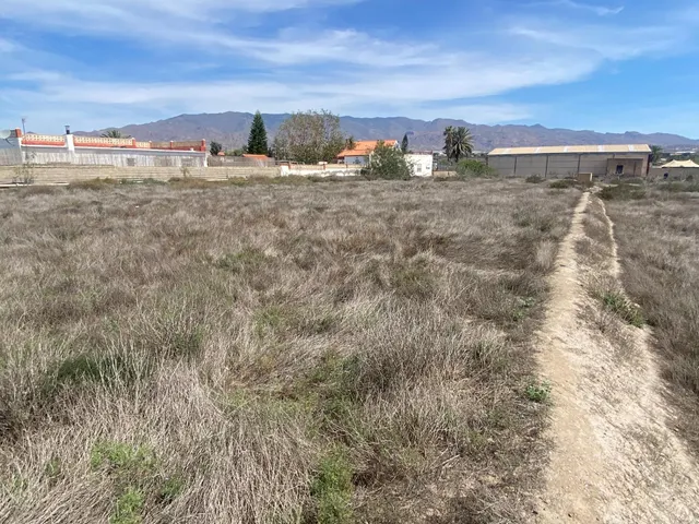 PARCELA ENTRE PECHINA Y VIATOR — 5