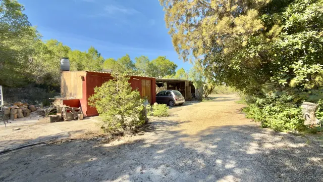 Finca rural con casa, casa auxiliar y 350 oliveras | los valientes — 22