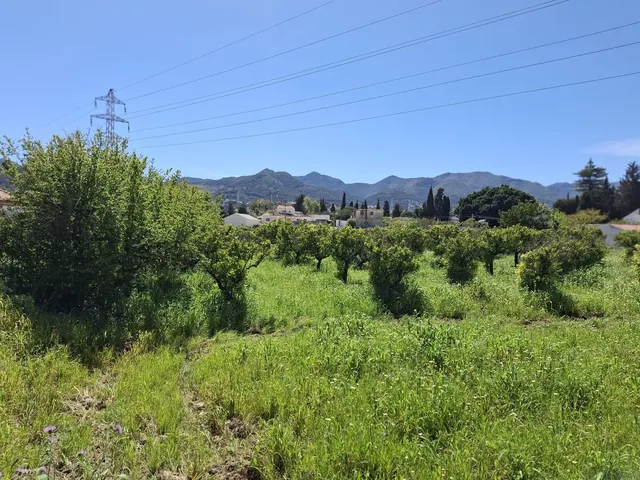 Terreno rústico de 3.413 m2 en Alhaurín de la Torre para proyectos rurales — 12
