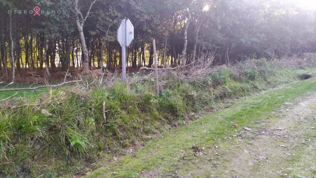VENTA DE TERRENO EDIFICABLE EN TEO - foto 3