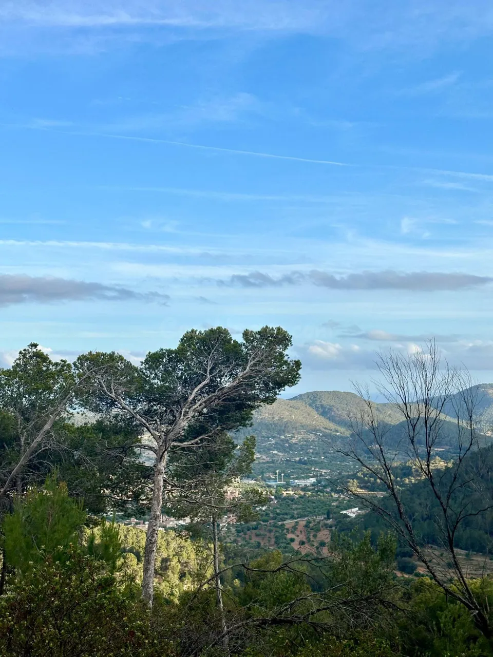 Terreno Rústico de 12.240 m2 en S’Arracó (Andratx) | Vistas al Mar, Cueva Natural y Pago Aplazado
