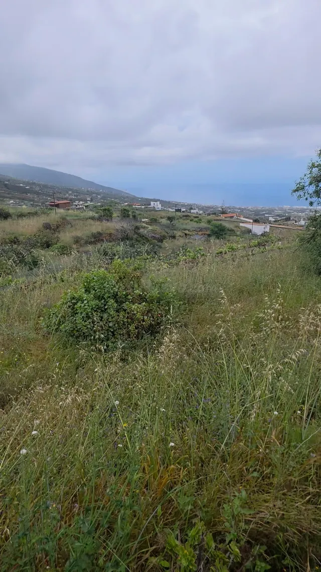 Terreno rústico de 808 m2 en Arafo, Tenerife | Excelente acc - foto 4