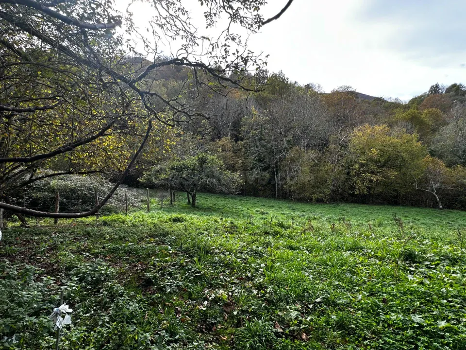 FINCA EDIFICABLE A 3 KM DE CANGAS DE ONIS