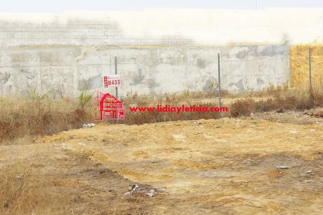 SOLAR URBANO EN ALCALA DE GUADAIRA — 6