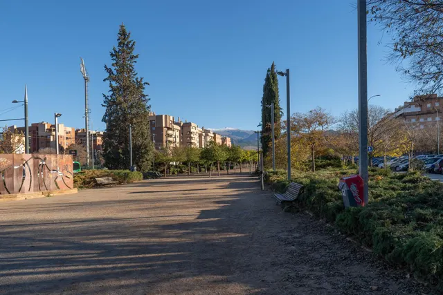 Local comercial de 200 m2 cerca del estadio Los Carmenes, magnifica oportunidad de inversion — 33