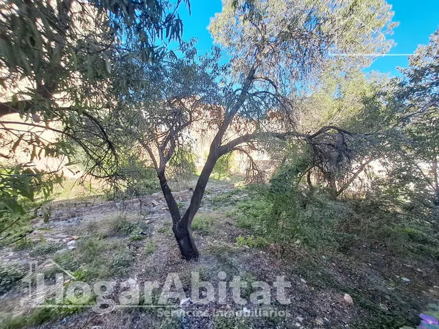 AMPLIA CASA CON 2 TERRAZAS PARA REFORMAR EN EL CENTRO — 33