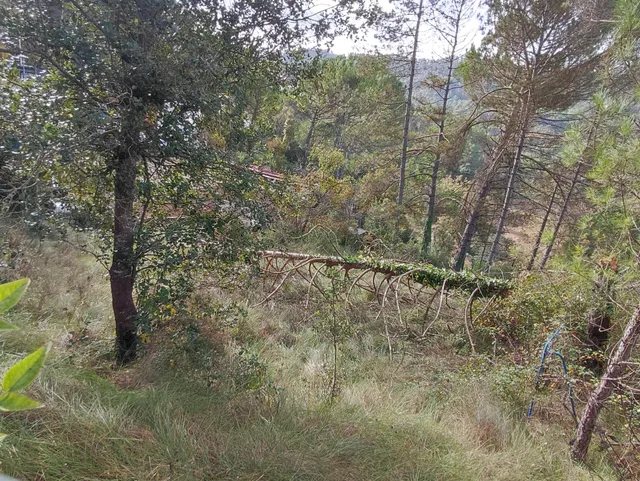 TERRENO EN VENTA EN LA URBANIZACION MASIA DEL SOLÀ (FINCA RUSTICA) MONISTROL DE CALDERS — 20