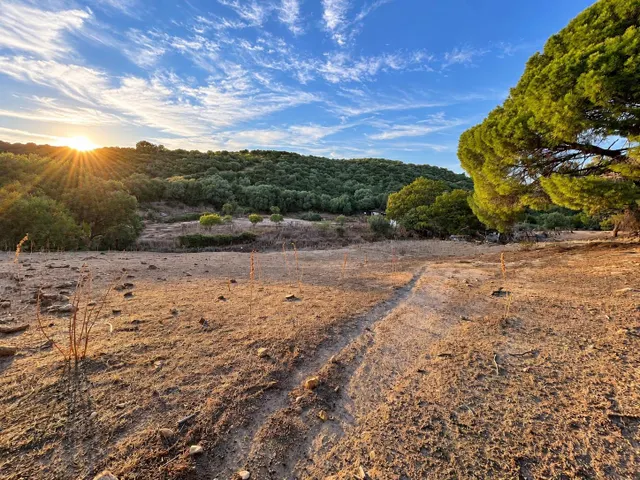 Finca rústica de 18.444 m2 con pozo y construcción catastrada en Alcalá de los Gazule — 25