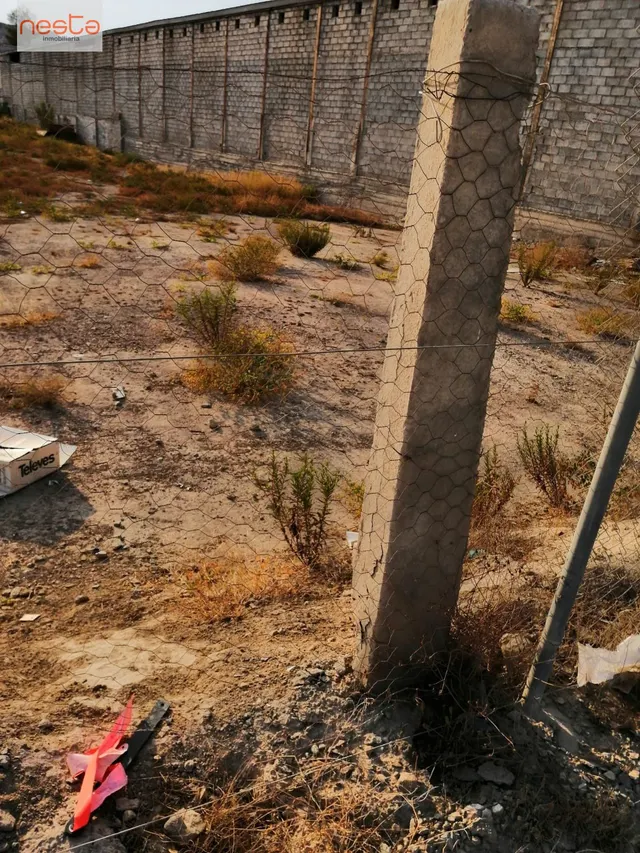DOS PARCELAS en CTRA. CARAVACA, de 1.117,98 m2. superficie cada parcela, — 7