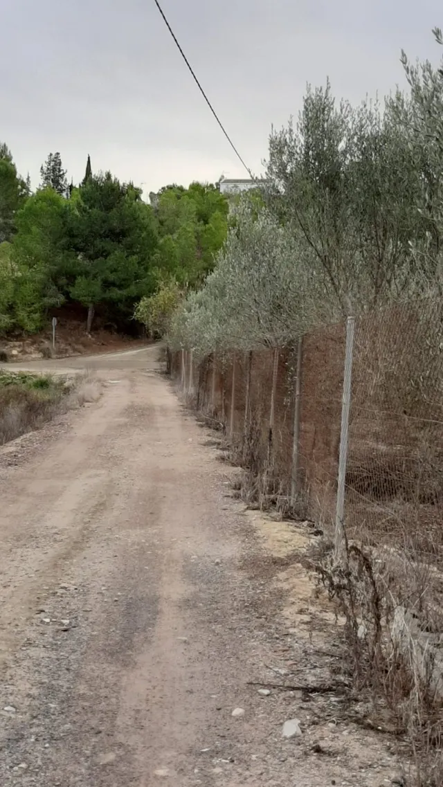 Casa con parcela  Camino de Los Puros — 17