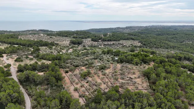 Casa Rústica en El Perelló - Un Refugio Natural con Encanto 