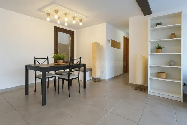 PRIMER PISO CON TERRAZA Y PARKING - ZONA AVENIDAS - foto 4