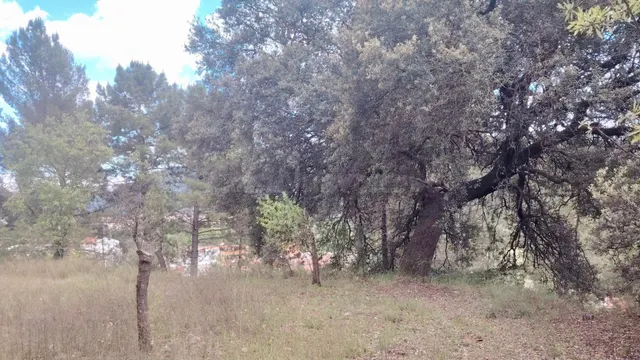 Terreno rural en venta - Castilla la mancha - foto 4