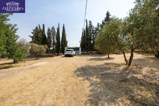 Encanto rústico con casita y olivos en Moraleja de Zafayona 🌿 — 40