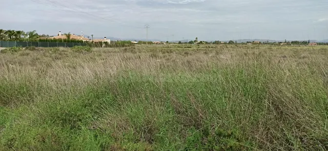 TERRENO EN MAITINO 11.333M2 - foto 5