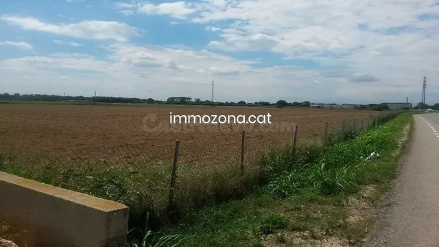 TERRENO RÚSTICO, EMPURIABRAVA - foto 2