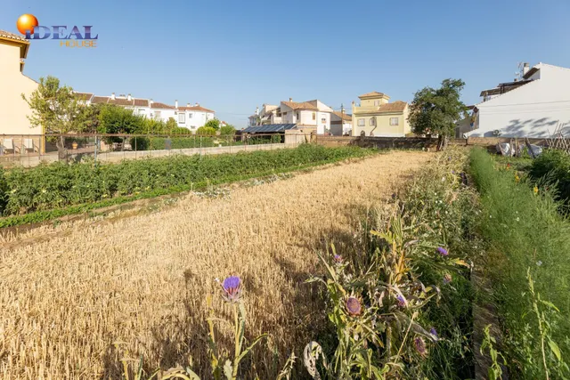 TERRENO URBANO 1060m EN LA ZUBIA — 9