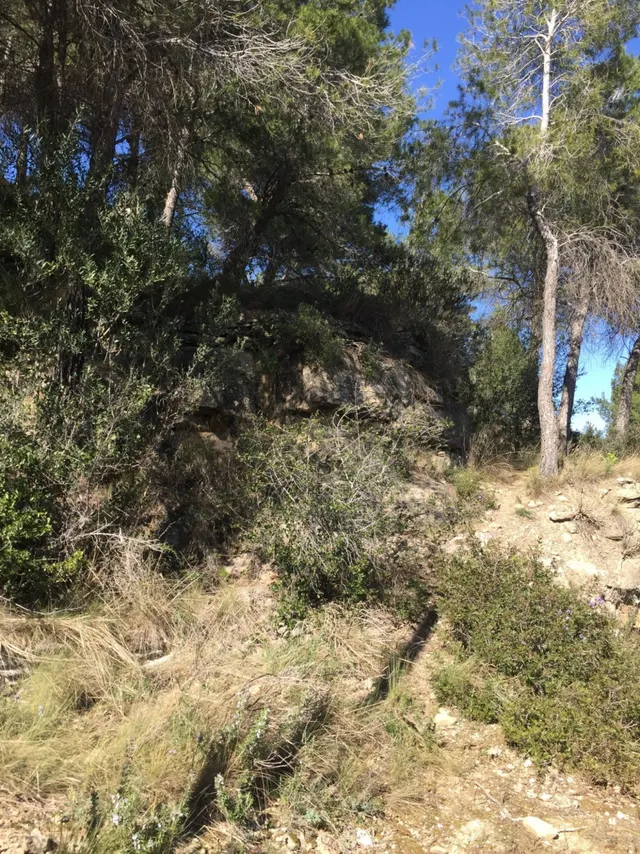 PARCELA EN VENTA EN MONISTROL DE MONTSERRAT — 8