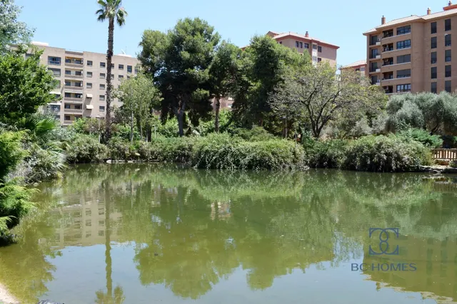 Tu negocio junto al parque del lago — 15
