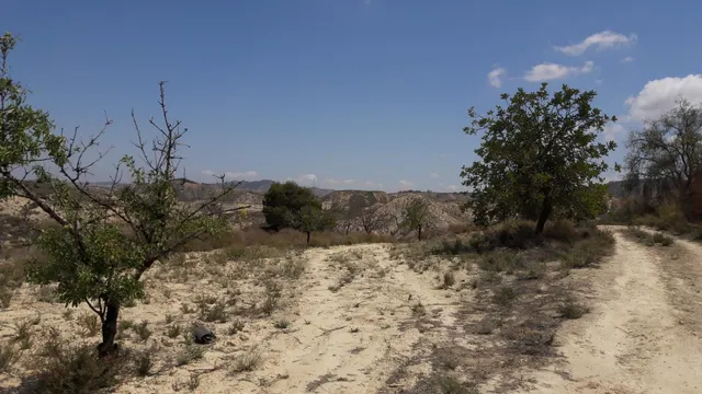 TERRENO RÚSTICO en Los Roques MURCIA — 3