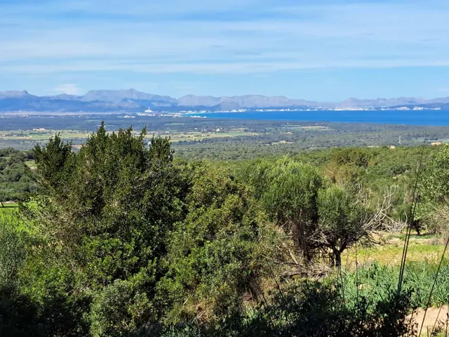 Gran proyecto de inversión. 4 parcelas rurales colindantes e - foto 3