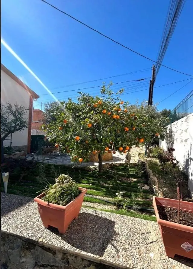 Casa o chalet independiente en venta en Barranco Hondo, La N - foto 5