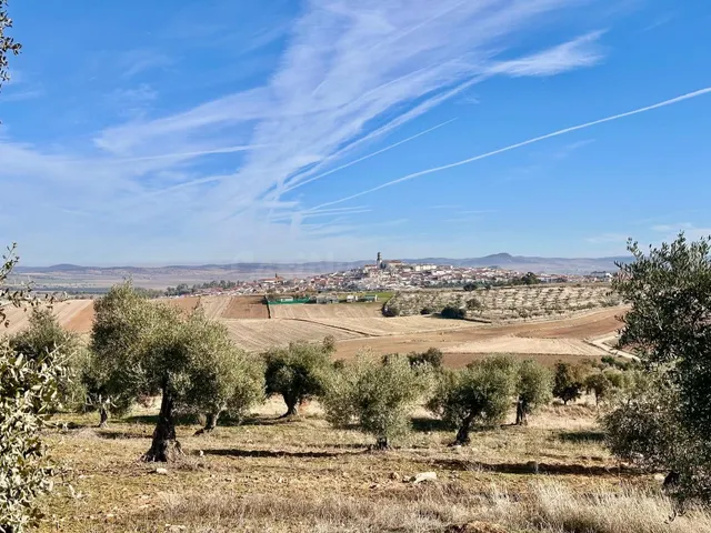 A. Terreno rural en Fuente Obejuna. - foto 4